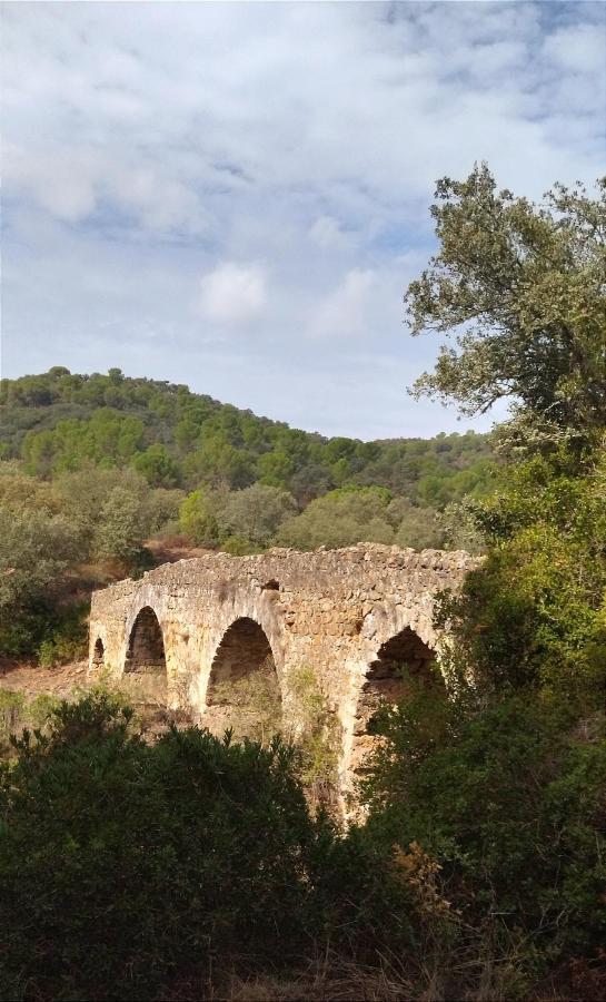 Bonita Casa Blanca En El Bosque. Βίλα Κόρδοβα Εξωτερικό φωτογραφία