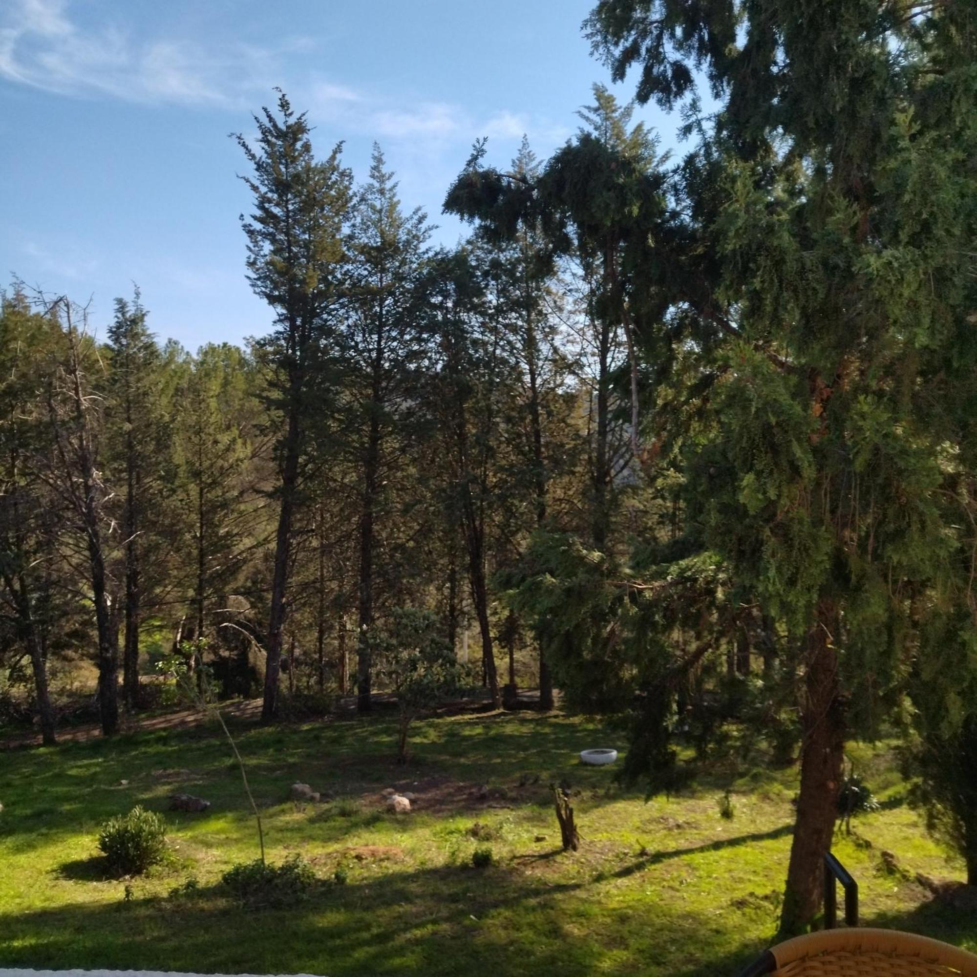 Bonita Casa Blanca En El Bosque. Βίλα Κόρδοβα Εξωτερικό φωτογραφία