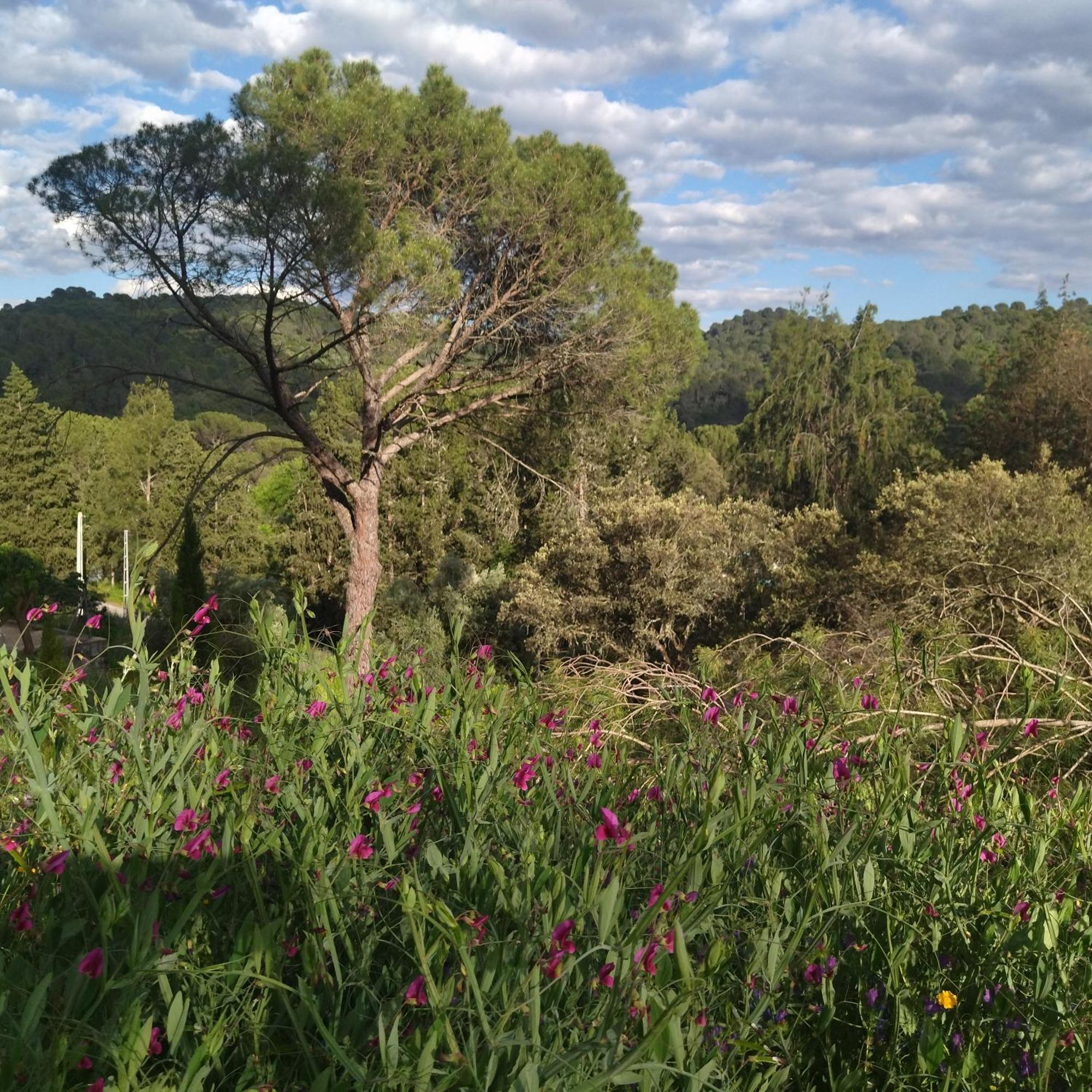 Bonita Casa Blanca En El Bosque. Βίλα Κόρδοβα Εξωτερικό φωτογραφία